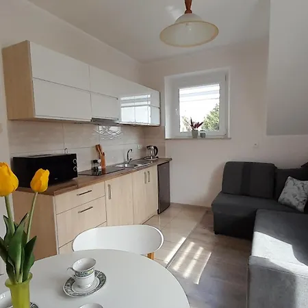 Guest house Pokoje Goscinne, Jas I Malgosia 3*