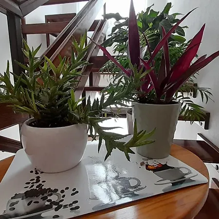 Pensionat Pokoje Goscinne, Jas I Malgosia Karwia