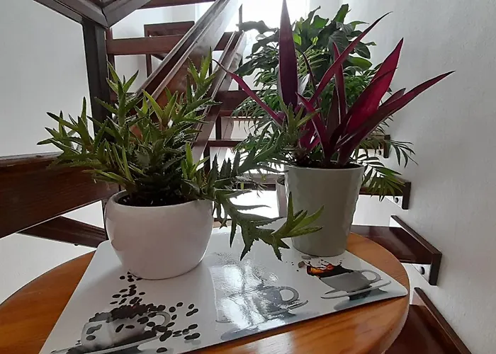 Pensionat Pokoje Goscinne, Jas I Malgosia Karwia